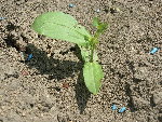 DSCN5057.JPG