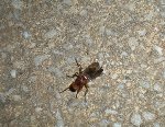 DSCN4425.JPG