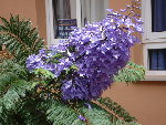 DSC00939.JPG