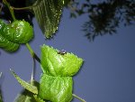 DSCN4463.JPG
