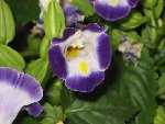 IMG_3120.JPG