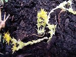 DSC03015.JPG