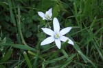 2008_05_06_15_55_07 (Small).JPG