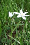 2008_05_06_15_55_22 (Small).JPG