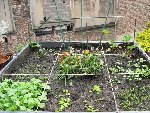 Potager (2) [800x600].jpg