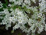 DSCN4140.JPG