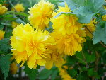 DSCN3963.JPG