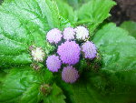 DSCN3950.JPG