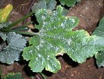 DSCN4465.JPG