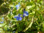 DSC00484.JPG