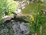 P130609_12.07_[01].jpg