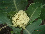 DSCN1707.JPG