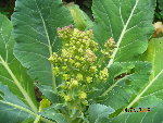 DSCN1706.JPG