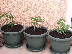 Photo appareil 180.jpg