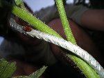DSCN4456.JPG