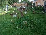 DSCN0638.JPG