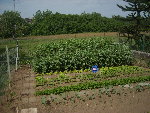 DSCN0802.JPG