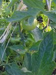 IMG_0010.jpg