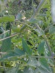 IMG_0011.jpg