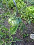 IMG_0012.jpg