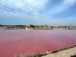 les salines.jpg
