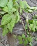 DSC00001.JPG