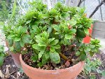 DSCN0691.JPG