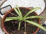 DSCN0693.JPG