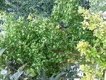 DSCN0694.JPG