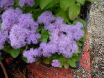 DSCN0696.JPG