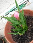 DSCN0710.JPG