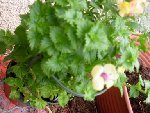 DSCN0719.JPG