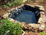 100_1444.JPG