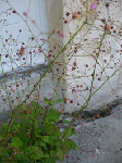 DSC00055.JPG