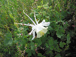 IMG_2999bis.jpg