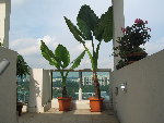 IMG_7264.jpg