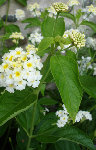 DSC00008.JPG