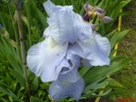 DSC00244.JPG