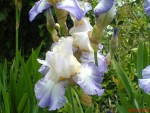 DSC00246.JPG