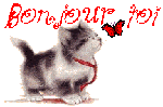 gif-bonjour-bienvenue%20(24).gif