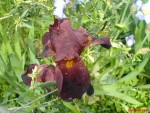 DSC00249.JPG