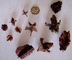 Photo 1440.jpg