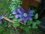 DSCN0810.JPG