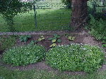 DSCN0815.JPG