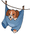 a011_3.gif