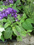 DSC00027.JPG