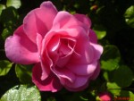 DSC00258.JPG