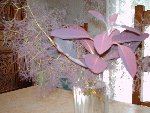 Photo 174.jpg
