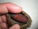 DSCN4204.JPG