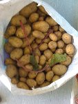 POMME DE TERRE